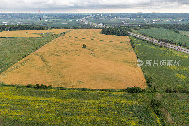 鸟瞰油菜籽田和公路ON-400, Bradford West Gwillimbury，加拿大